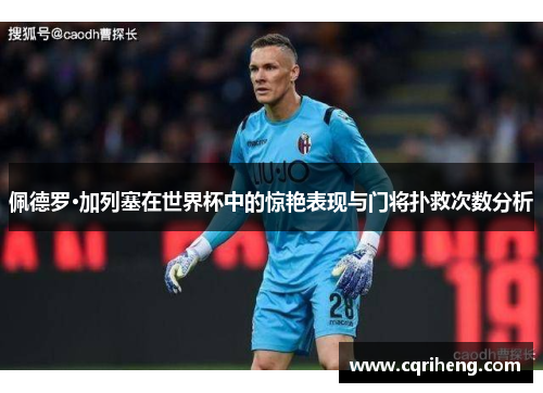 佩德罗·加列塞在世界杯中的惊艳表现与门将扑救次数分析